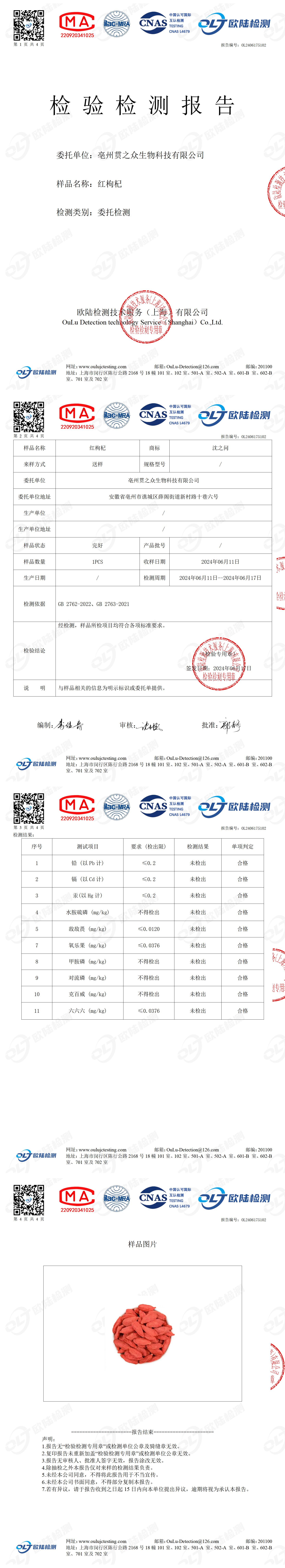 OL2406175102