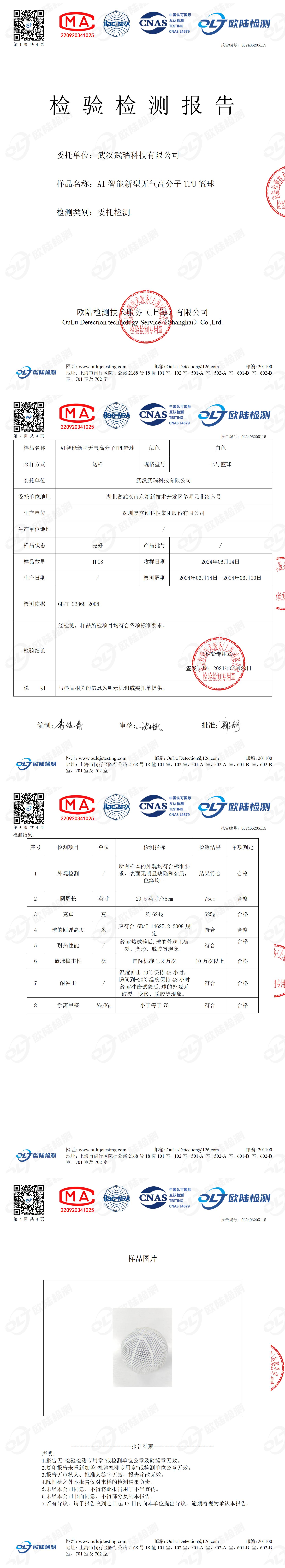 OL2406205115